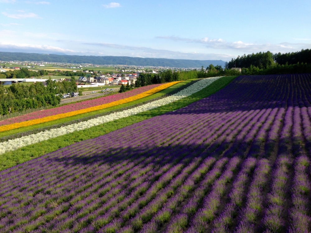 f:id:maemuki:20130717164256j:plain f:id:maemuki:20130717164256j:plain