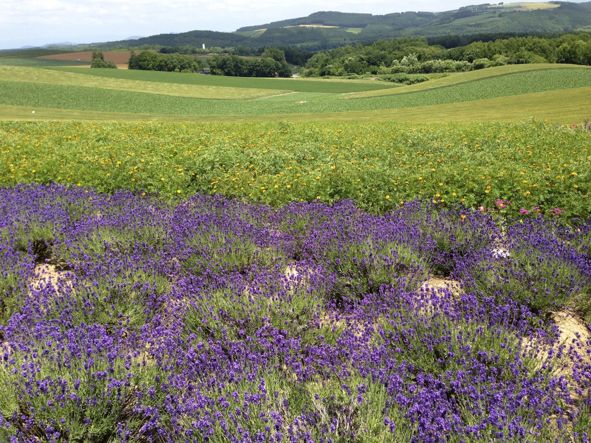 f:id:maemuki:20130718113402j:plain f:id:maemuki:20130718113402j:plain