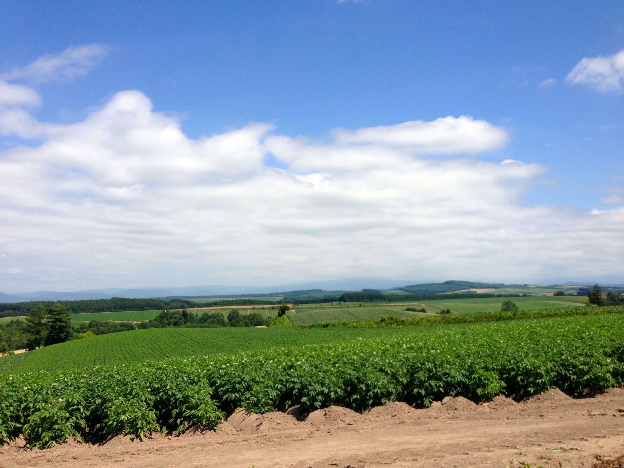 f:id:maemuki:20130718122343j:plain f:id:maemuki:20130718122343j:plain