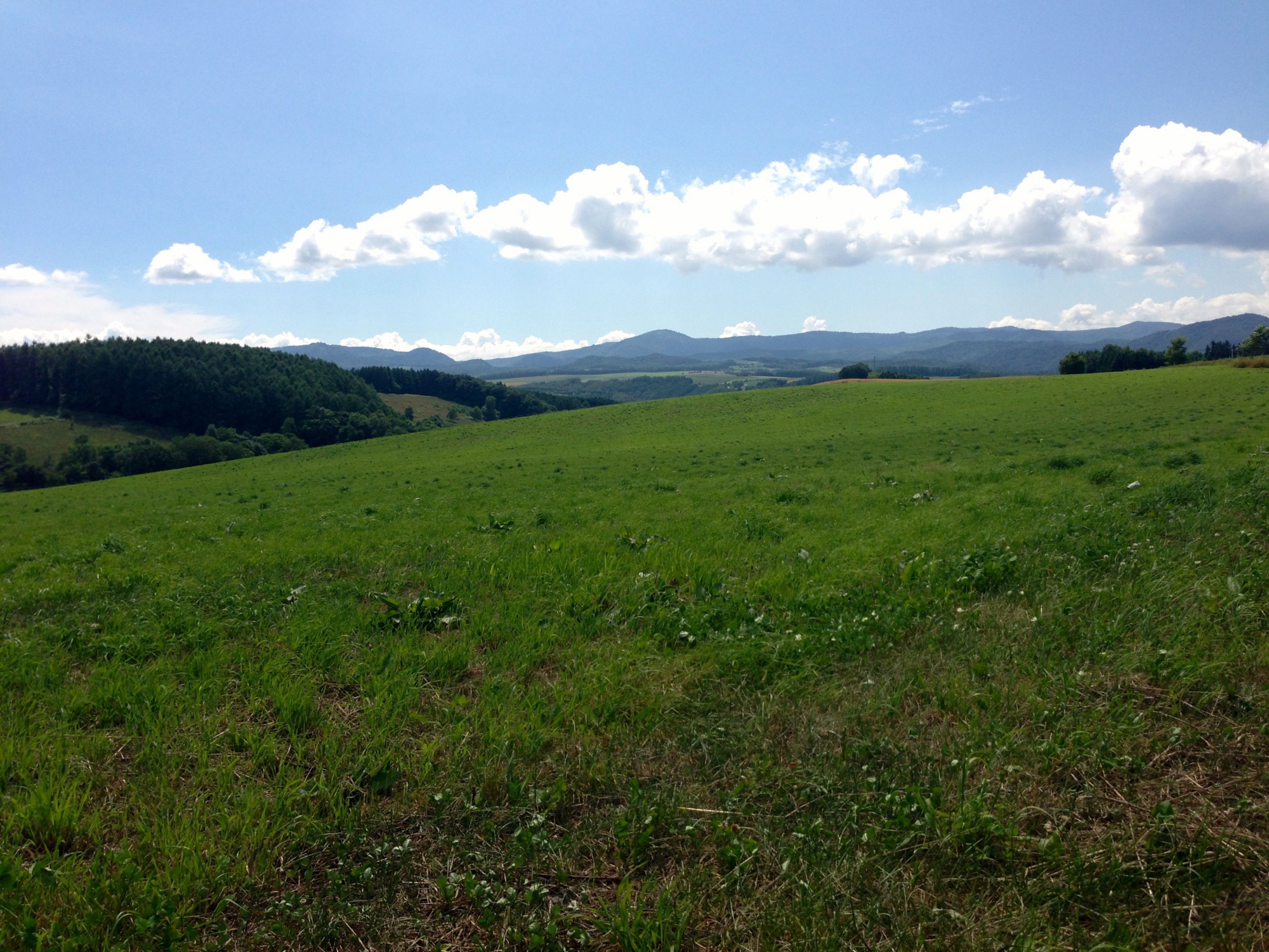 f:id:maemuki:20130718132817j:plain f:id:maemuki:20130718132817j:plain