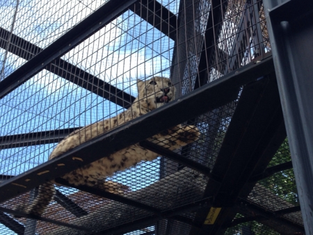 f:id:maemuki:20131027221237j:plain f:id:maemuki:20131027221237j:plain