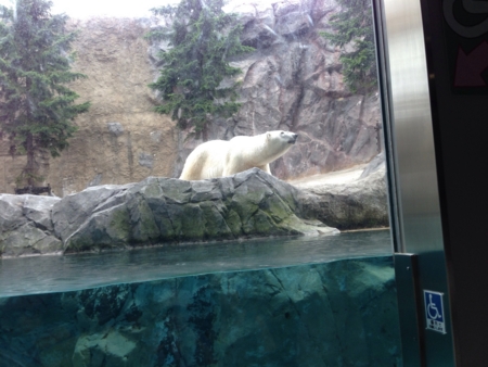 f:id:maemuki:20131027221301j:plain f:id:maemuki:20131027221301j:plain