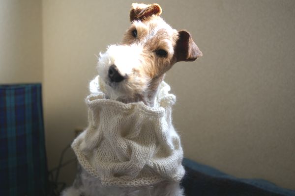f:id:mafumafu:20100325224542j:image:w300 f:id:mafumafu:20100325224542j:image:w300