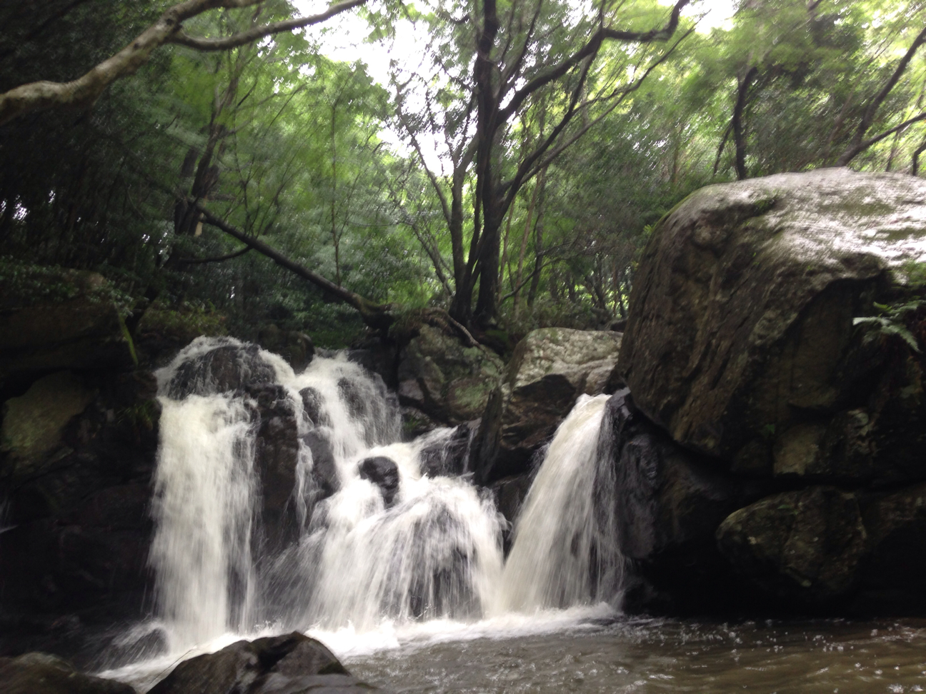 f:id:magatama99:20130724220636j:plain f:id:magatama99:20130724220636j:plain