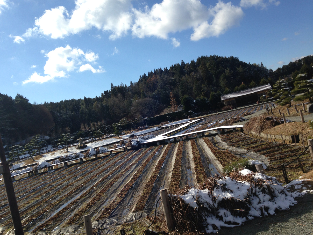f:id:magatama99:20140104053925j:plain f:id:magatama99:20140104053925j:plain