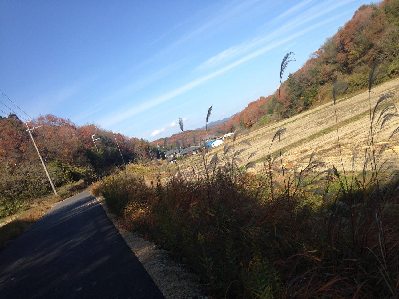 f:id:magatama99:20141130234058j:plain f:id:magatama99:20141130234058j:plain