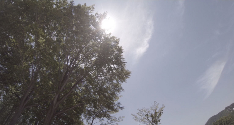 f:id:magrored2:20150517225246j:plain f:id:magrored2:20150517225246j:plain