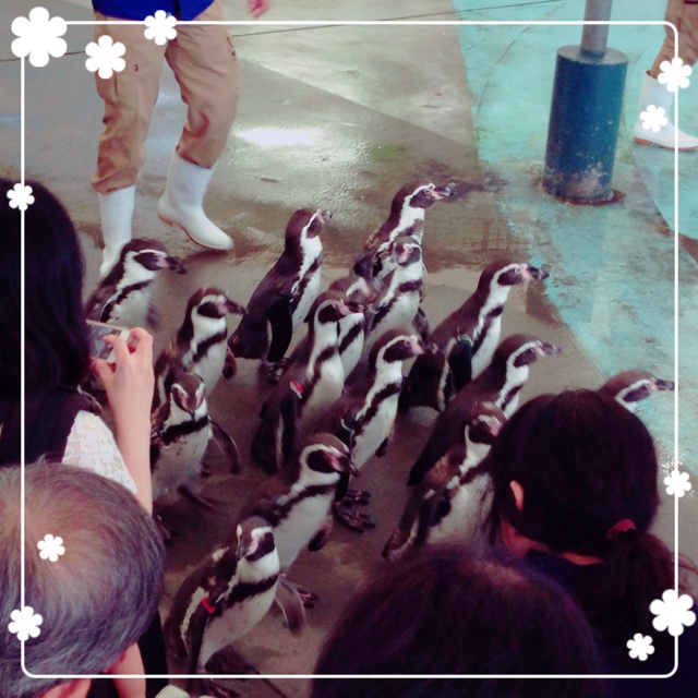 f:id:magurochiru:20150908235210j:plain f:id:magurochiru:20150908235210j:plain