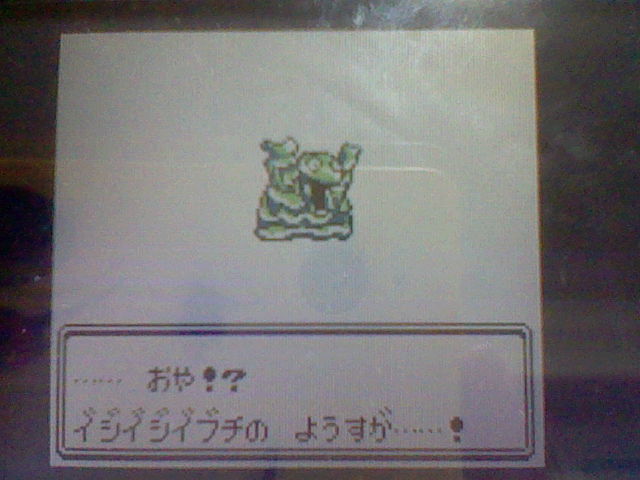 f:id:mahivoyu07:20111222143529j:image:w360 f:id:mahivoyu07:20111222143529j:image:w360