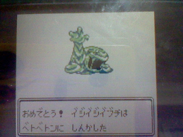 f:id:mahivoyu07:20111222143537j:image:w360 f:id:mahivoyu07:20111222143537j:image:w360