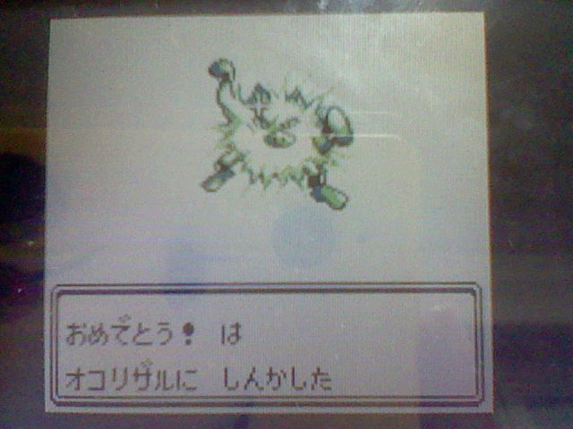 f:id:mahivoyu07:20111222143606j:image:w360 f:id:mahivoyu07:20111222143606j:image:w360