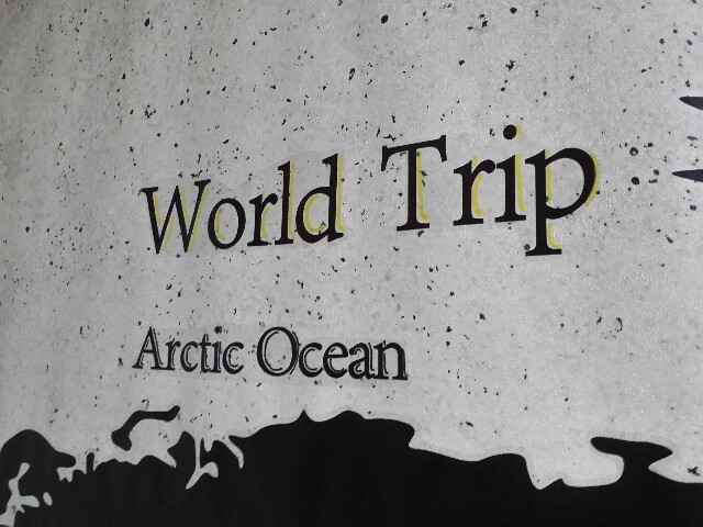 世界地図のニトリウォールステッカー