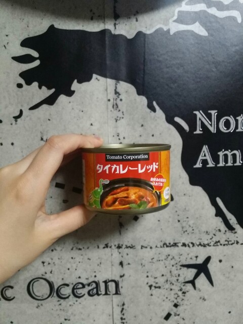 ダイソーのマイルドタイカレー