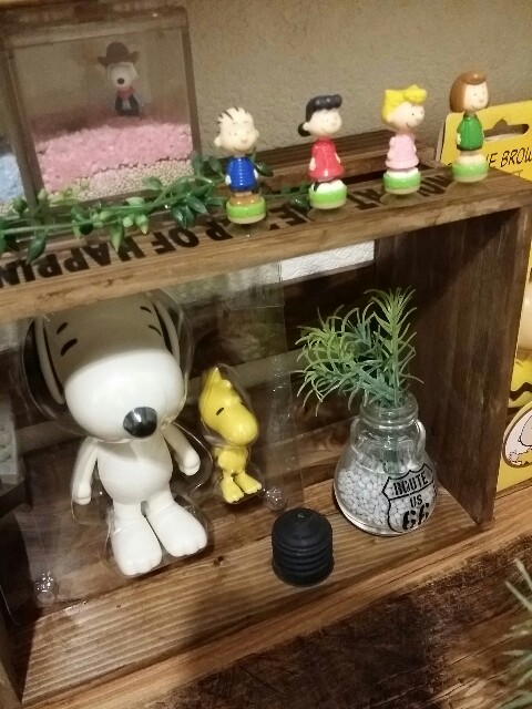 セリアの木箱とスヌーピー