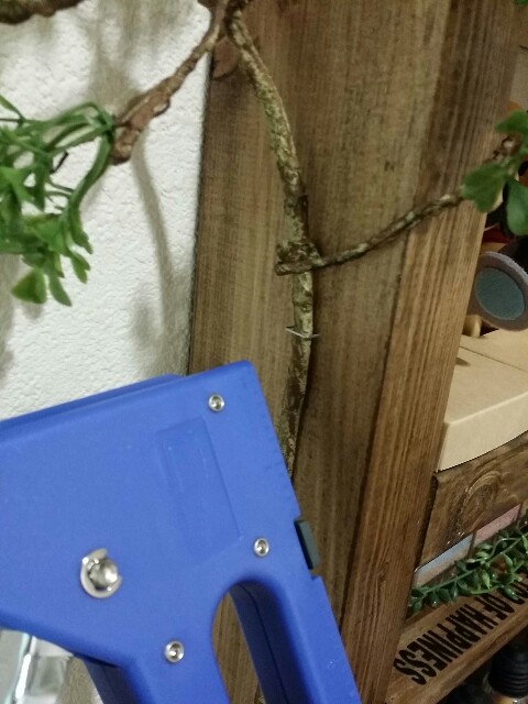 タッカーで貼ったいざなうるす屋のフェイクグリーン