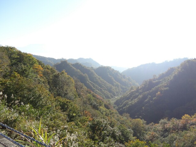 f:id:maimaiyupi:20151021133254j:image f:id:maimaiyupi:20151021133254j:image