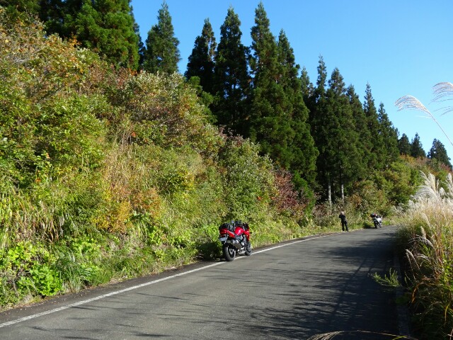 f:id:maimaiyupi:20151021133325j:image f:id:maimaiyupi:20151021133325j:image