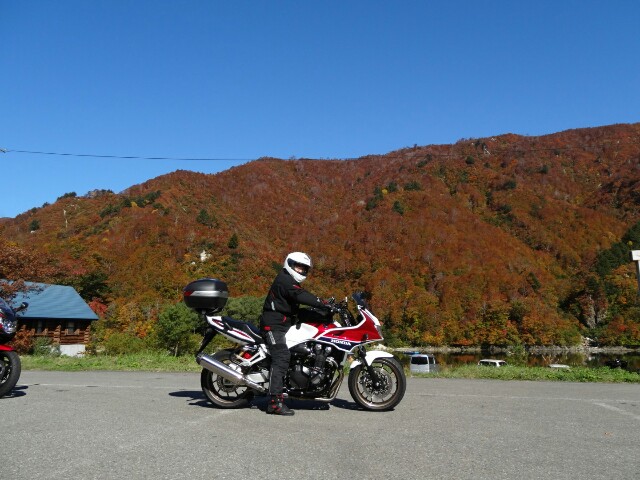 f:id:maimaiyupi:20151021134133j:image f:id:maimaiyupi:20151021134133j:image