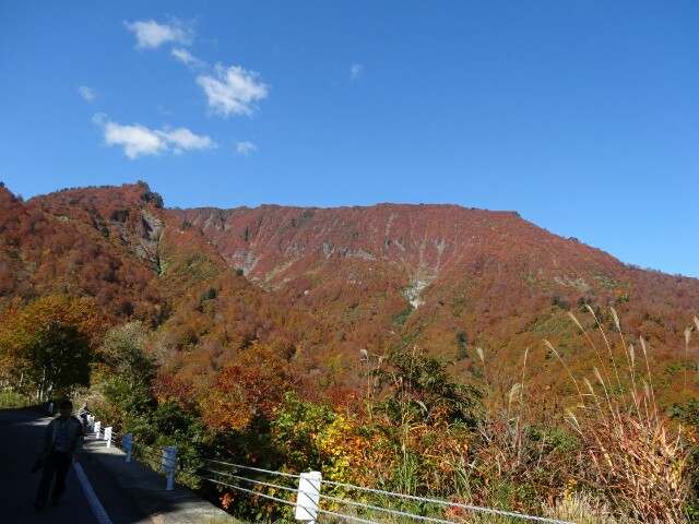 f:id:maimaiyupi:20151021134210j:image f:id:maimaiyupi:20151021134210j:image