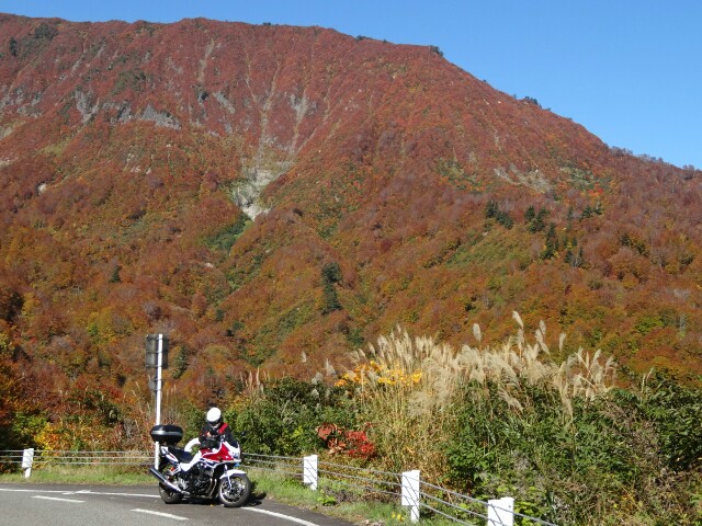 f:id:maimaiyupi:20151021134237j:image f:id:maimaiyupi:20151021134237j:image