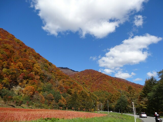 f:id:maimaiyupi:20151021134546j:image f:id:maimaiyupi:20151021134546j:image