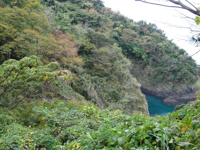 f:id:maimaiyupi:20151127150152j:image f:id:maimaiyupi:20151127150152j:image