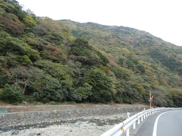 f:id:maimaiyupi:20151127150344j:image f:id:maimaiyupi:20151127150344j:image