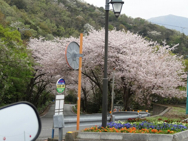 f:id:maimaiyupi:20160412120956j:image f:id:maimaiyupi:20160412120956j:image