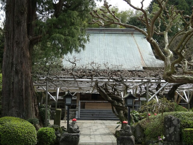 f:id:maimaiyupi:20160412121733j:image f:id:maimaiyupi:20160412121733j:image