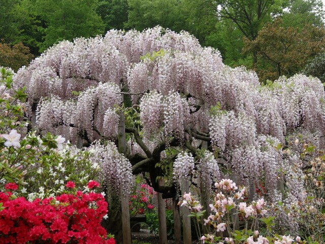 f:id:maimaiyupi:20160426145524j:image f:id:maimaiyupi:20160426145524j:image