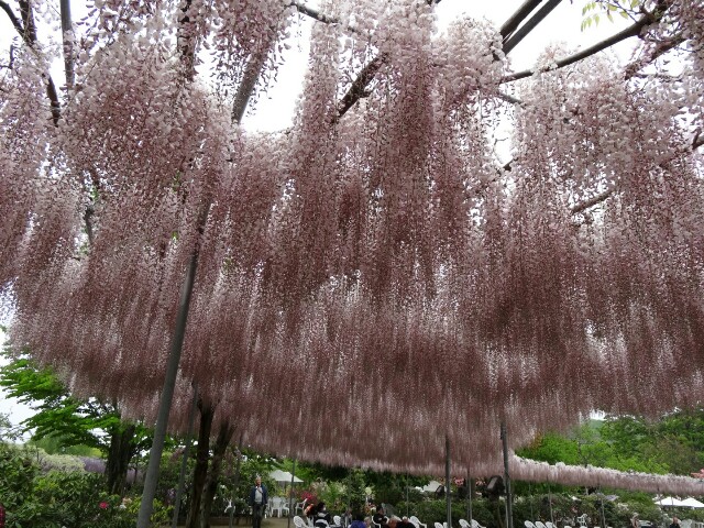 f:id:maimaiyupi:20160426145608j:image f:id:maimaiyupi:20160426145608j:image