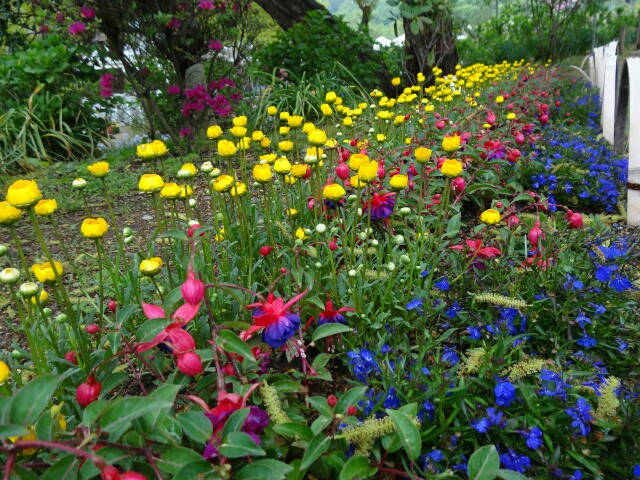 f:id:maimaiyupi:20160426150313j:image f:id:maimaiyupi:20160426150313j:image