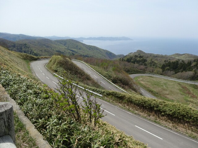 f:id:maimaiyupi:20160509112637j:image f:id:maimaiyupi:20160509112637j:image