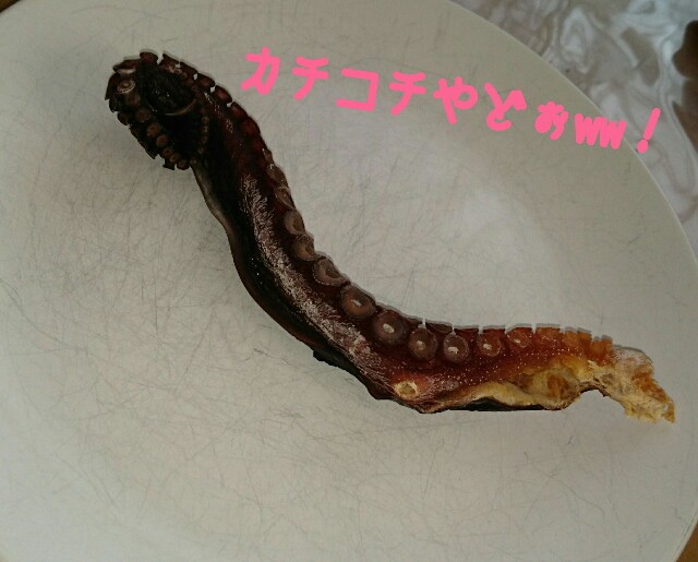 f:id:maimaiyupi:20160509113739j:image f:id:maimaiyupi:20160509113739j:image