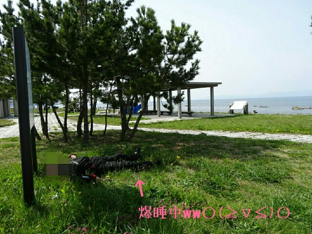 f:id:maimaiyupi:20160510154646j:image f:id:maimaiyupi:20160510154646j:image