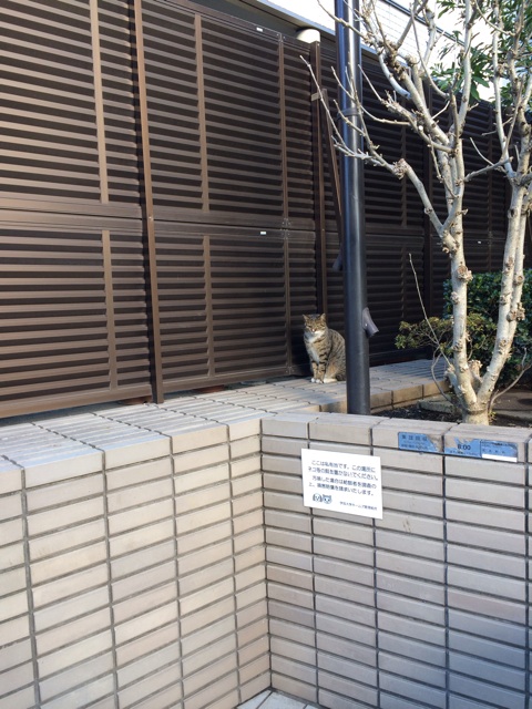 f:id:maison_shibainu:20131229125301j:plain f:id:maison_shibainu:20131229125301j:plain