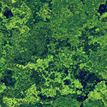 f:id:makingT:20160207023715j:plain f:id:makingT:20160207023715j:plain
