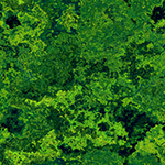 f:id:makingT:20160207023717j:plain f:id:makingT:20160207023717j:plain
