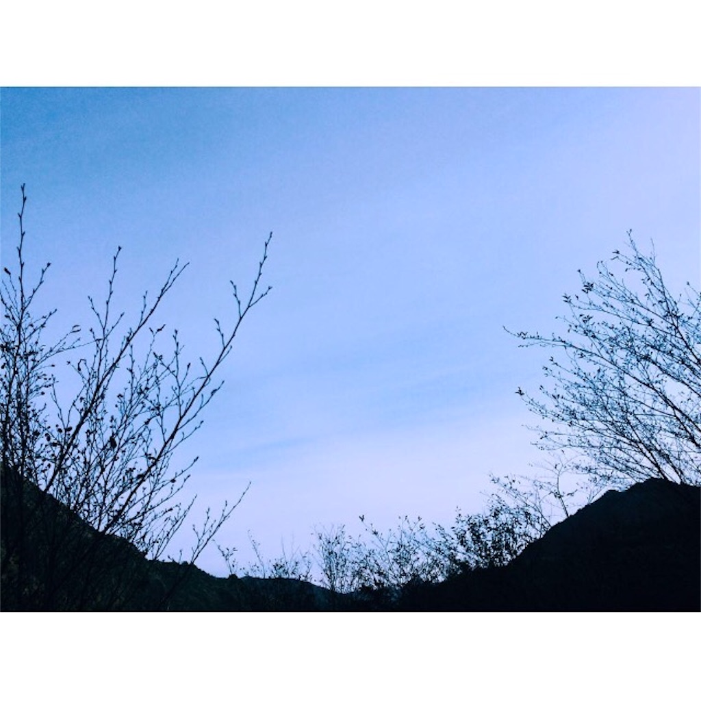 f:id:makino-ortho:20151103195054j:image f:id:makino-ortho:20151103195054j:image