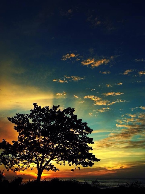 f:id:mako-mellow:20150411183231j:plain f:id:mako-mellow:20150411183231j:plain