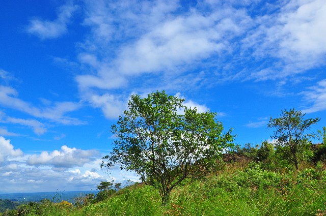 f:id:makoto_taira:20160609095152j:plain