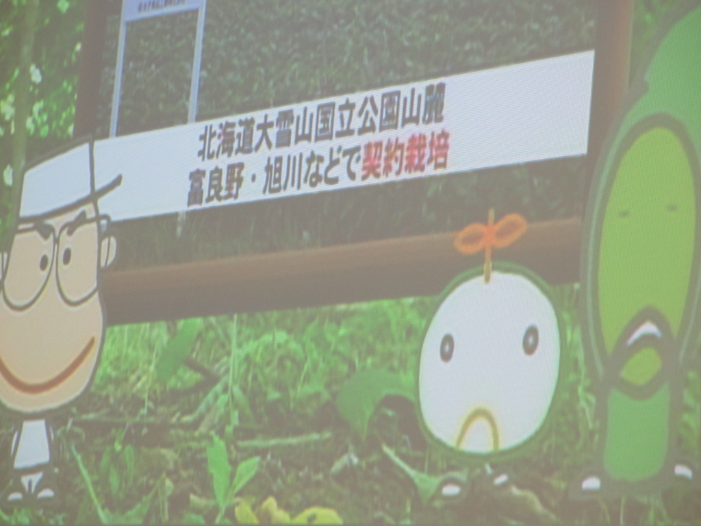 f:id:makyumakyunoki:20150804132959j:plain f:id:makyumakyunoki:20150804132959j:plain