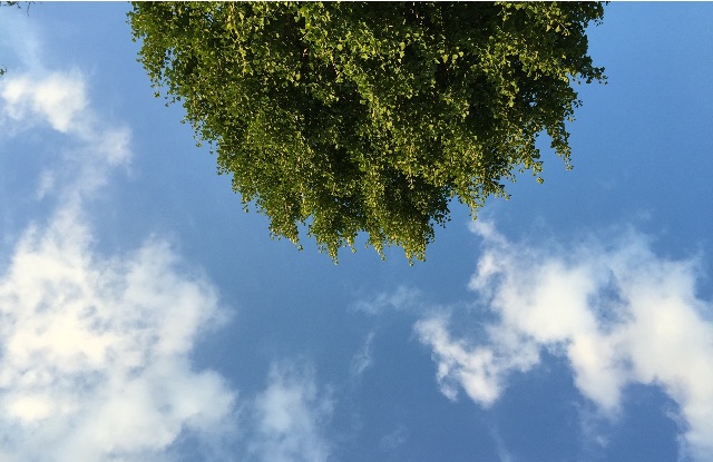 f:id:malstrail:20150629205020j:image f:id:malstrail:20150629205020j:image