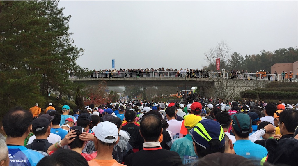 f:id:malstrail:20151125180457j:image f:id:malstrail:20151125180457j:image