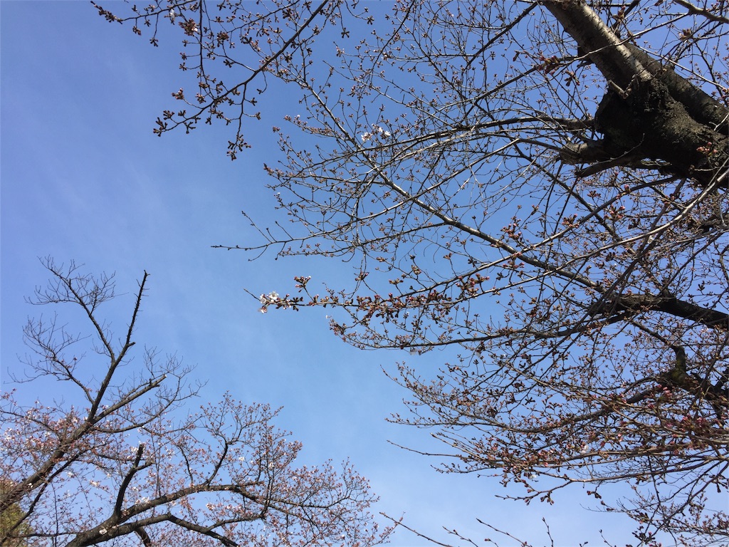 f:id:malstrail:20160402094432j:image f:id:malstrail:20160402094432j:image