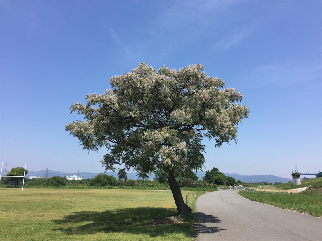 f:id:malstrail:20160521112313j:image f:id:malstrail:20160521112313j:image