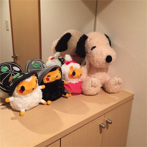 f:id:mamashizue:20160207184831j:image f:id:mamashizue:20160207184831j:image