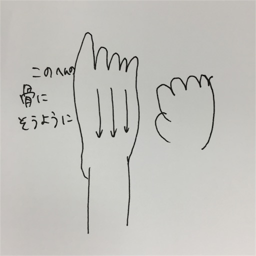 f:id:mamashizue:20160226122937j:image f:id:mamashizue:20160226122937j:image