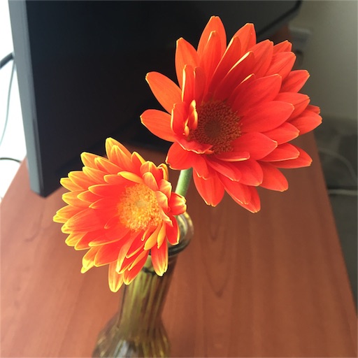 f:id:mamashizue:20160401234244j:plain