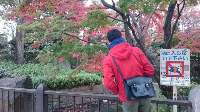 f:id:mamemiso:20151121231717j:image f:id:mamemiso:20151121231717j:image